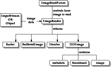 The reading process